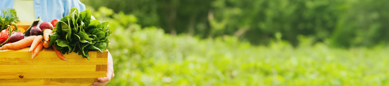 למבצעים שלנו!